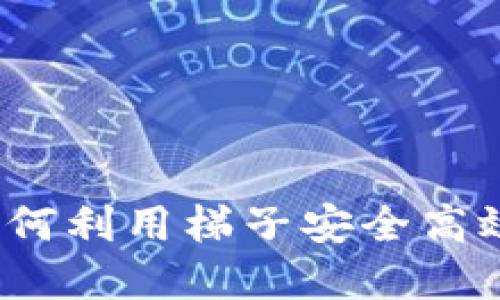 TP钱包的使用指南：如何利用梯子安全高效地进行加密货币交易