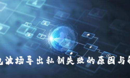 : TP钱包波场导出私钥失败的原因与解决方案